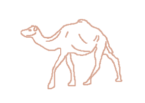 L'Aventure de Bébé Chameau : Une histoire interactive pour apprendre les langues en s'amusant